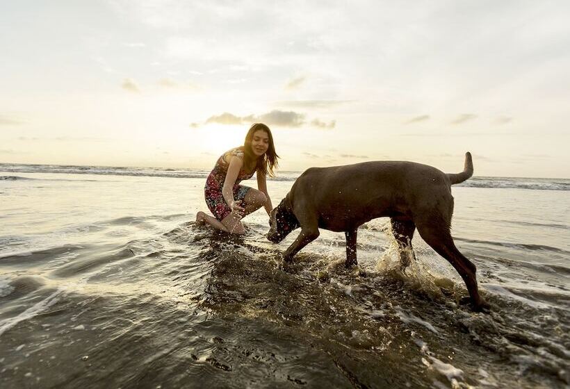 Green9 Hotel & Beach Resort Same