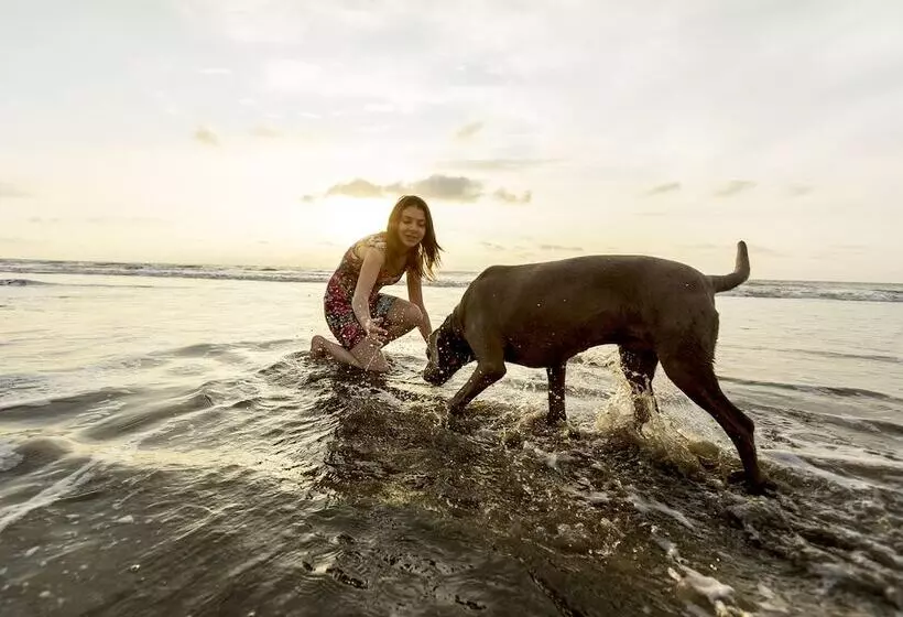 Green9 Hotel & Beach Resort Same