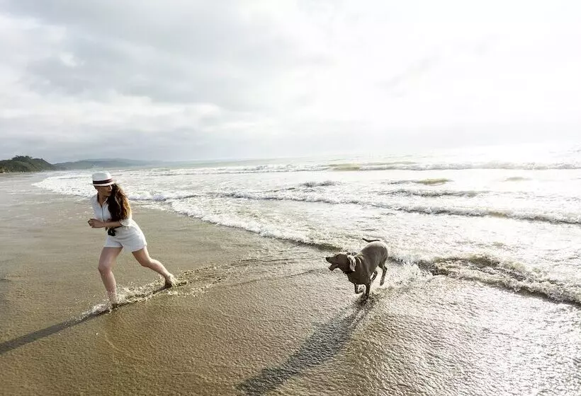 Green9 Hotel & Beach Resort Same