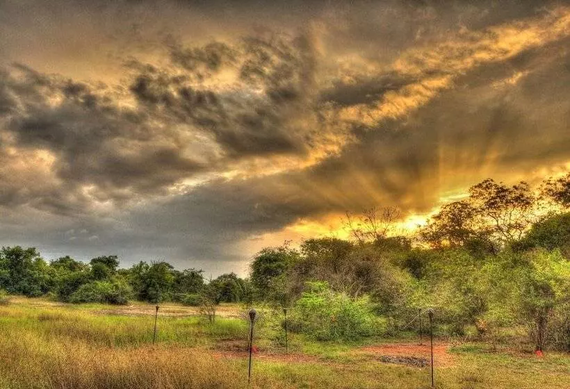 Hotelli Mahoora   Wilpattu By Eco Team