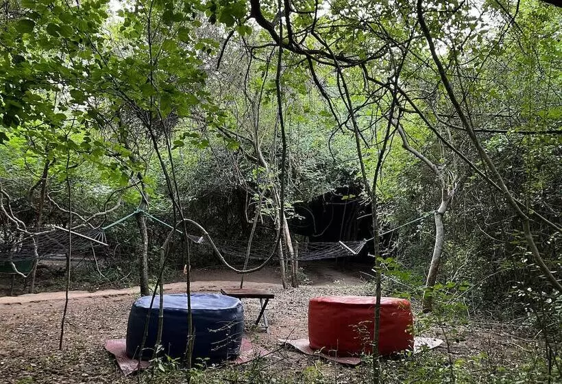 Hotelli Mahoora   Wilpattu By Eco Team