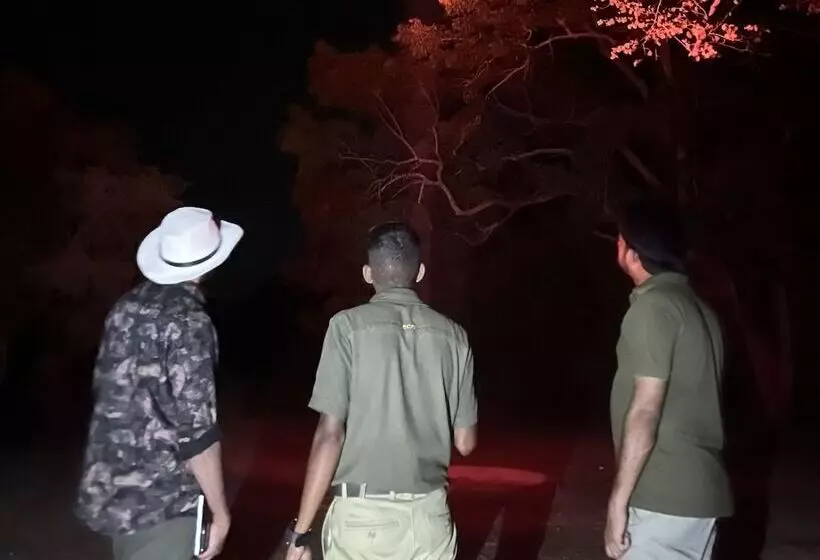 Hotelli Mahoora   Wilpattu By Eco Team