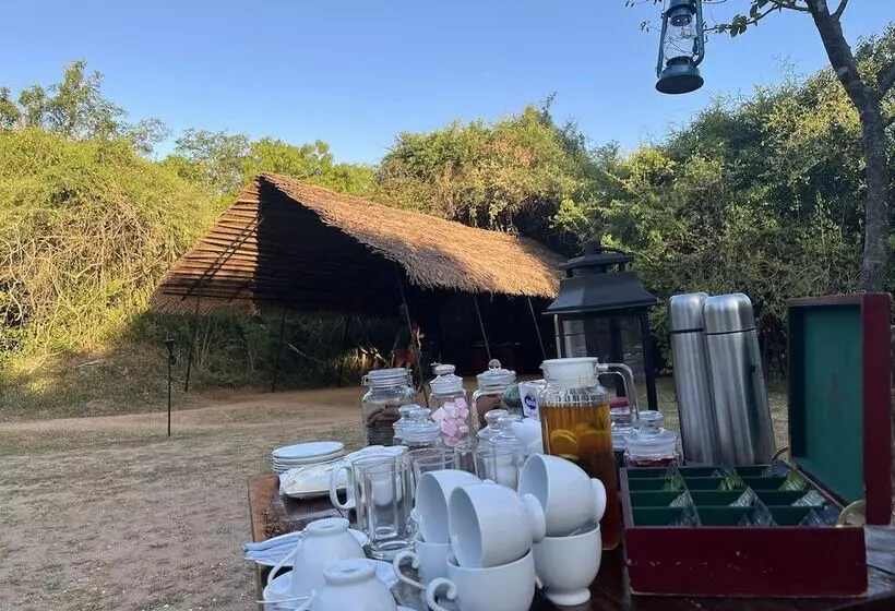 Hotelli Mahoora   Wilpattu By Eco Team