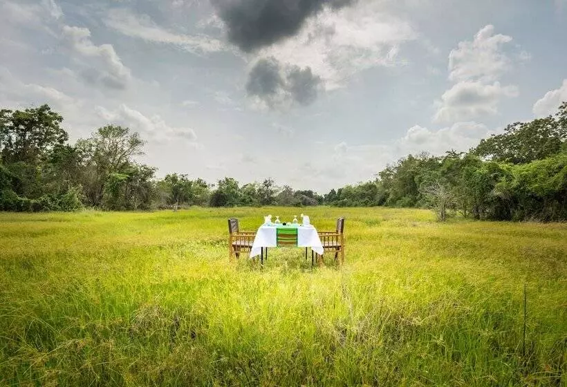 Hotelli Mahoora   Wilpattu By Eco Team