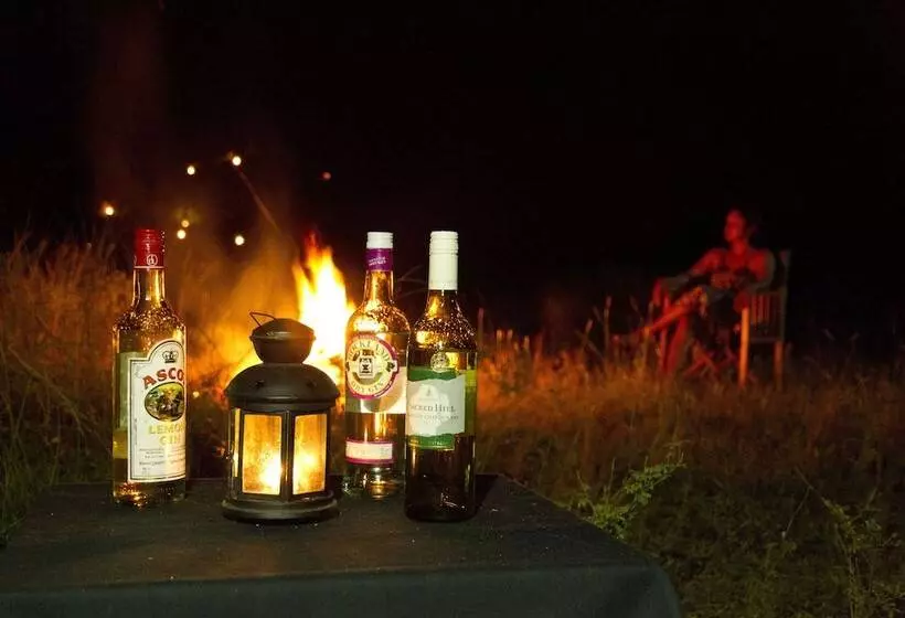 Hotelli Mahoora   Wilpattu By Eco Team