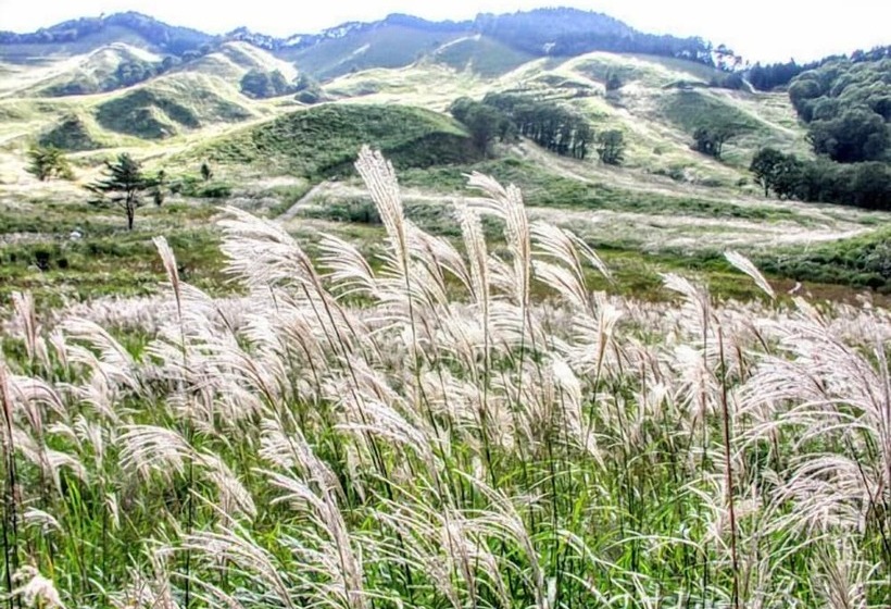 בית מלון כפרי Monte Rosa