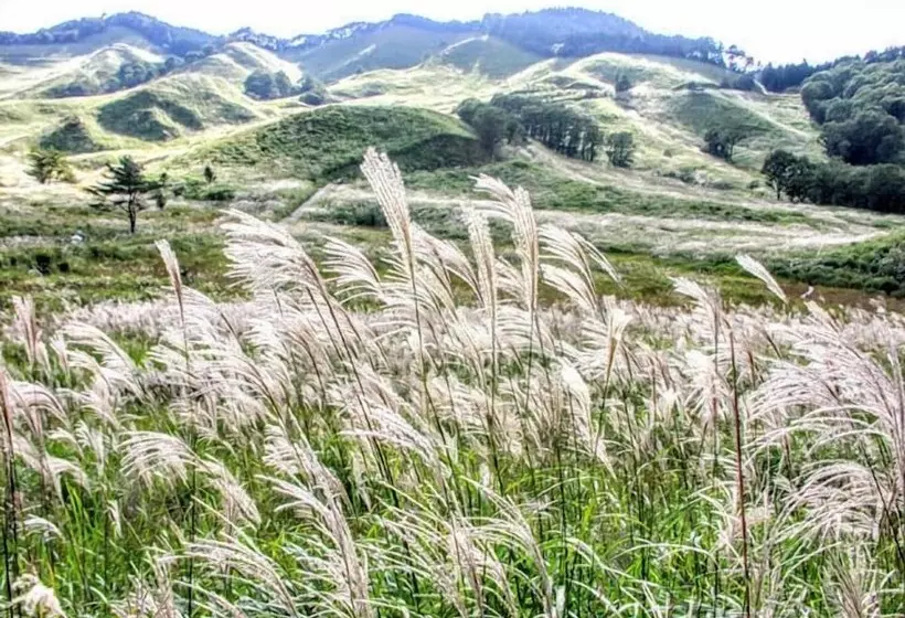 ホテル Monte Rosa