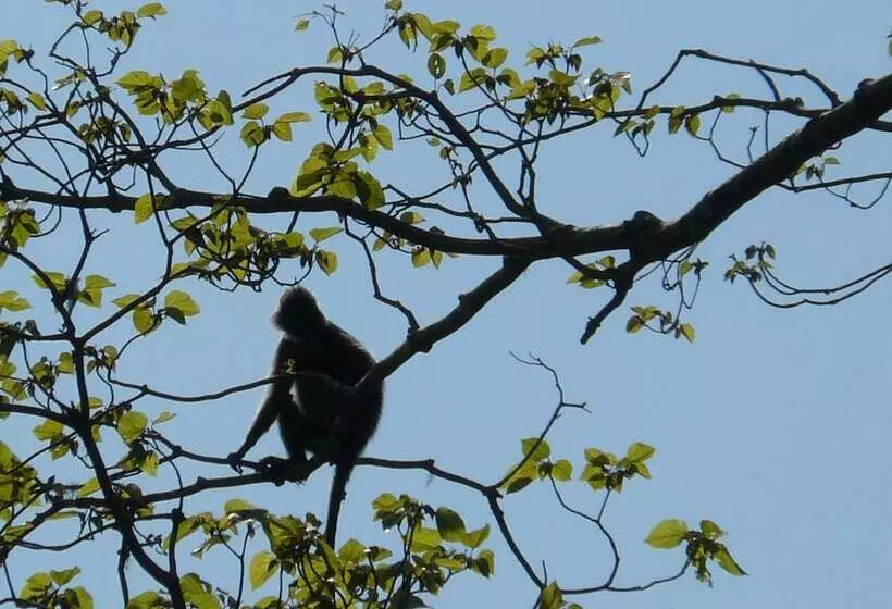 Hotelli Villa Rumah Kita