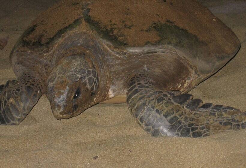 Отель Villa Rumah Kita