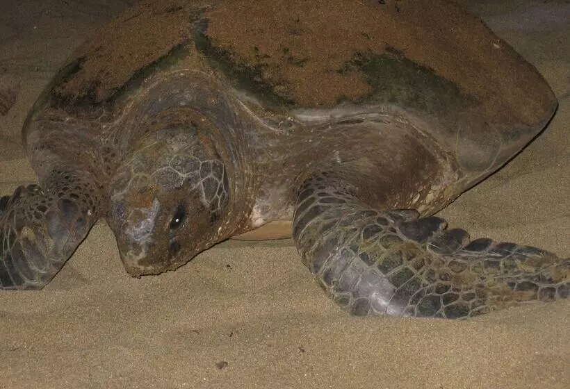 Hotelli Villa Rumah Kita