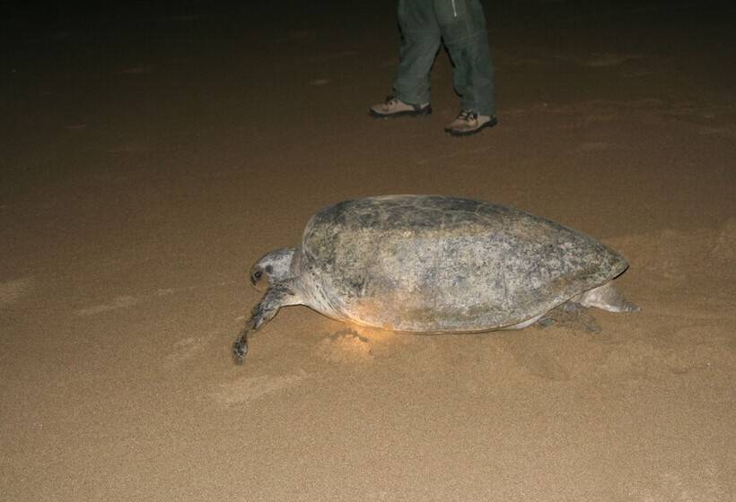 Отель Villa Rumah Kita