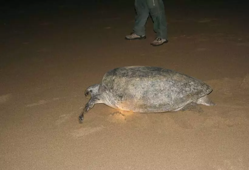 Hotelli Villa Rumah Kita