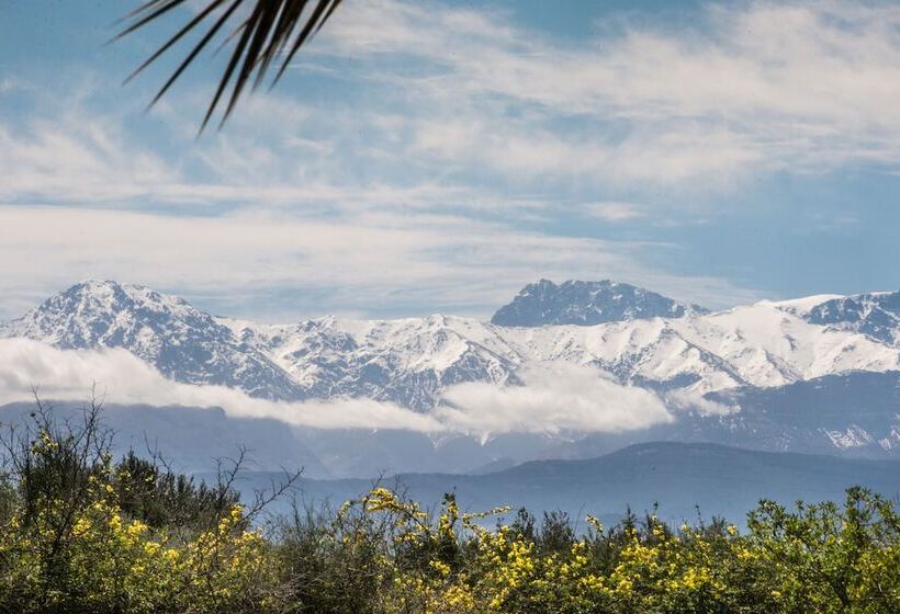 پانسیون Villa Catherine Marrakech
