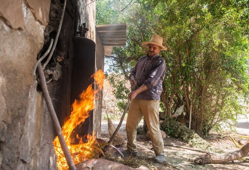 پانسیون Villa Catherine Marrakech