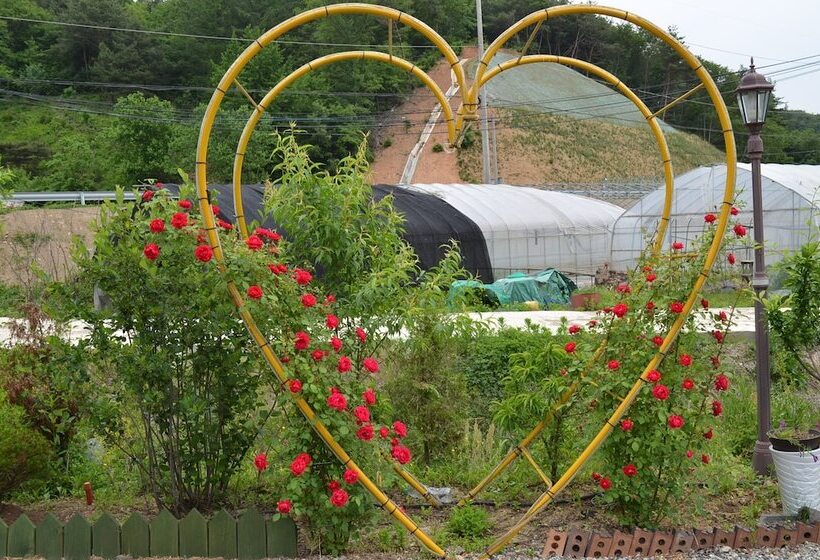 Pension Cafe Yoon & Park