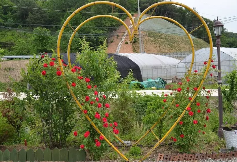 Pension Cafe Yoon & Park