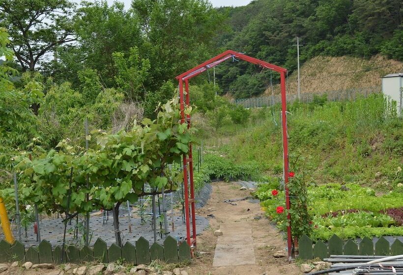 Pension Cafe Yoon & Park