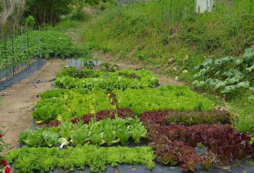 Pension Cafe Yoon & Park