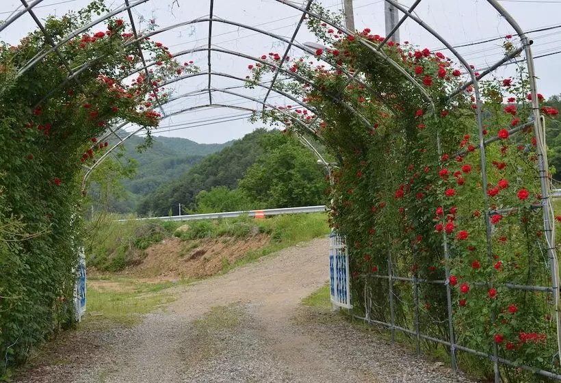 Pension Cafe Yoon & Park