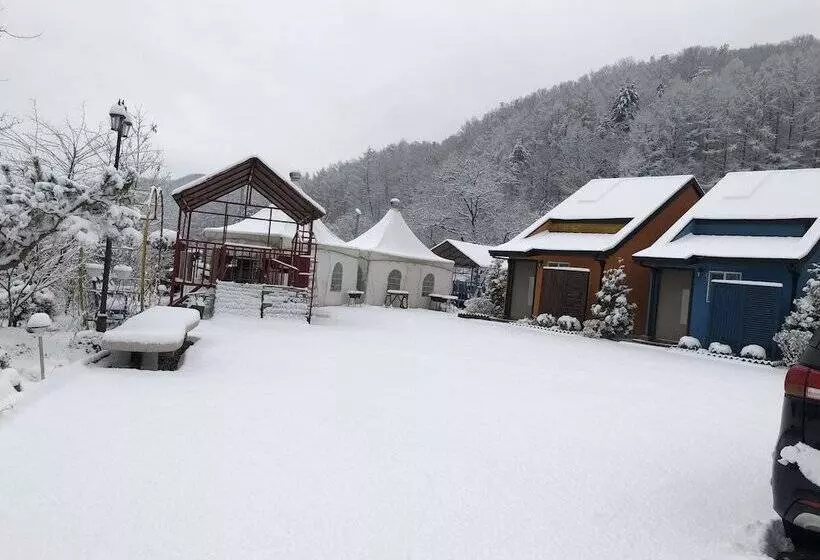 Pension Cafe Yoon & Park