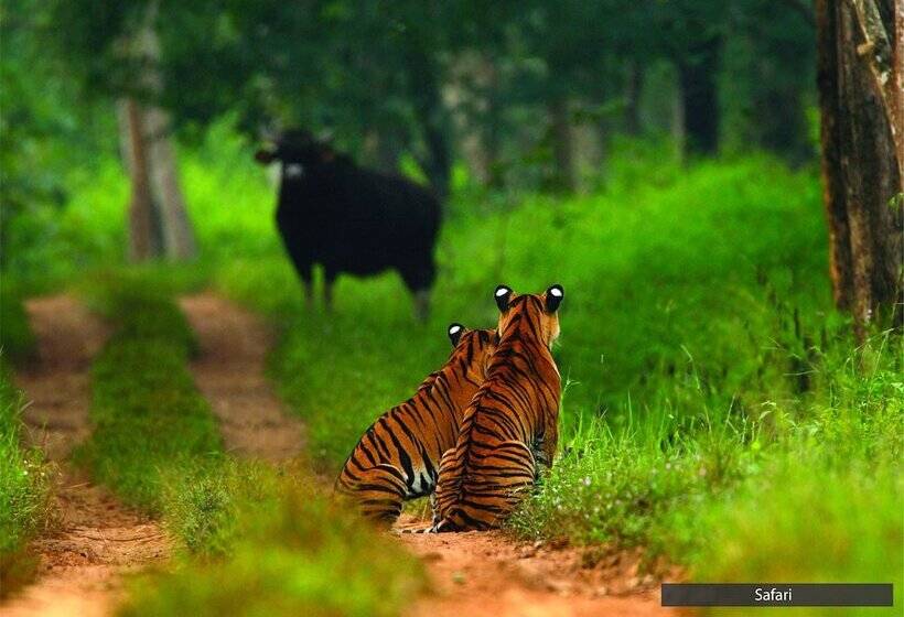 منتجع The Serai Bandipur