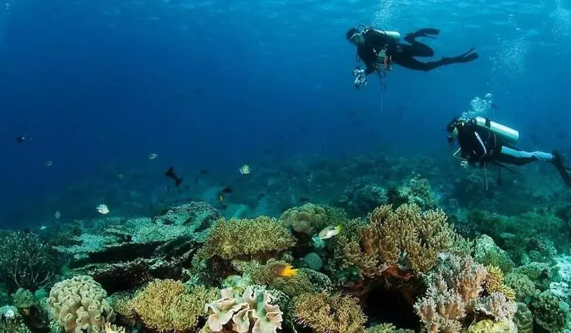 Aamiaismajoitus (B&B) Sinar Harapan