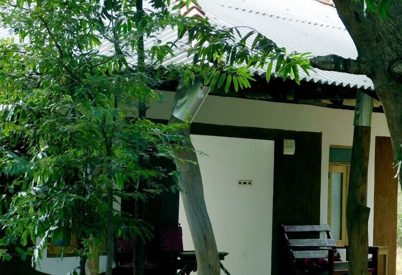 Bed and Breakfast Yala Avian Eye Safari