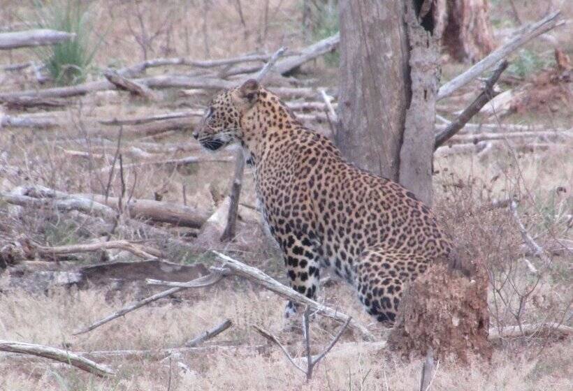 Bed and Breakfast Yala Avian Eye Safari