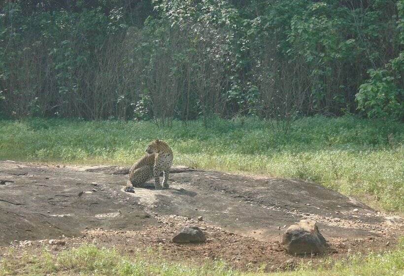Bed and Breakfast Yala Avian Eye Safari