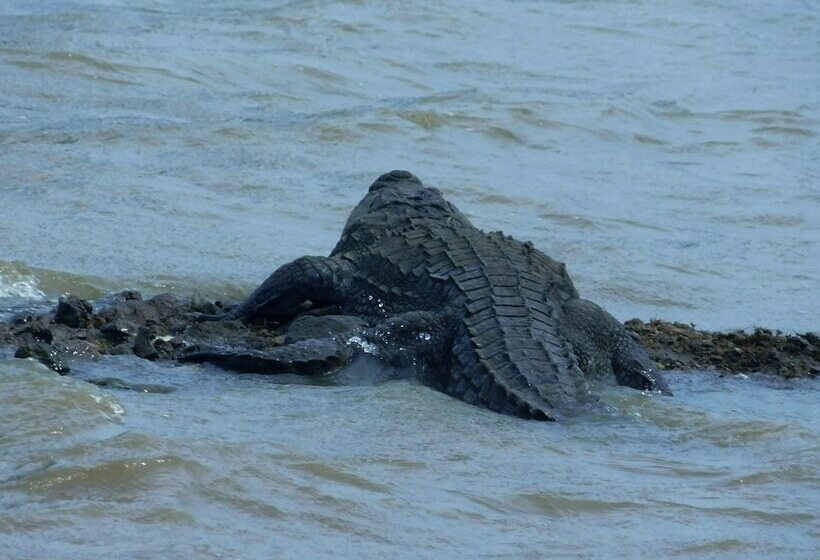 Bed and Breakfast Yala Avian Eye Safari