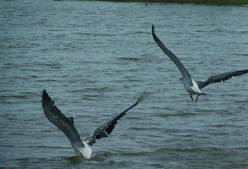 Bed and Breakfast Yala Avian Eye Safari