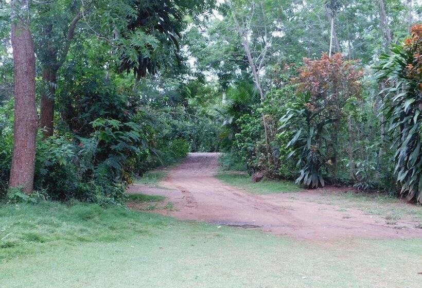 Bed and Breakfast Yala Avian Eye Safari