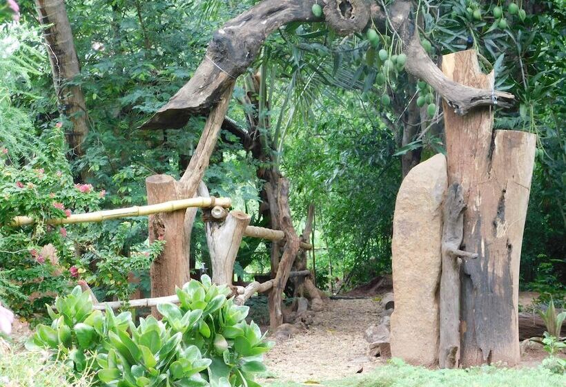 Bed and Breakfast Yala Avian Eye Safari