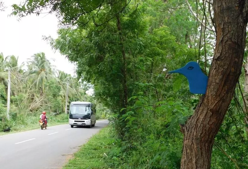 ベッドアンドブレックファースト Yala Avian Eye Safari