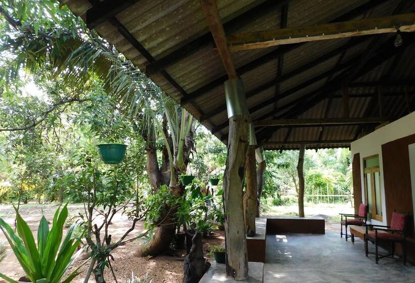 Bed and Breakfast Yala Avian Eye Safari