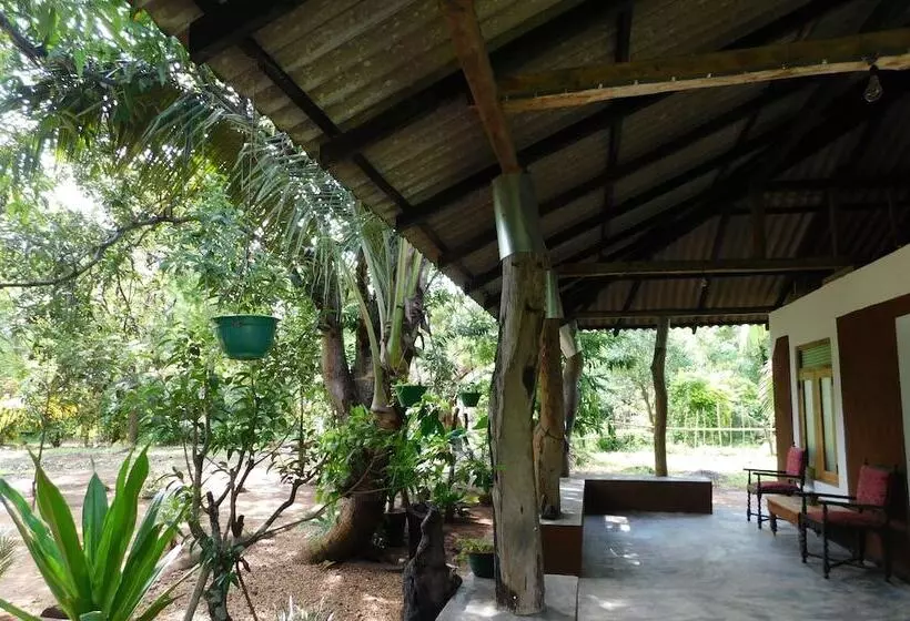 ベッドアンドブレックファースト Yala Avian Eye Safari