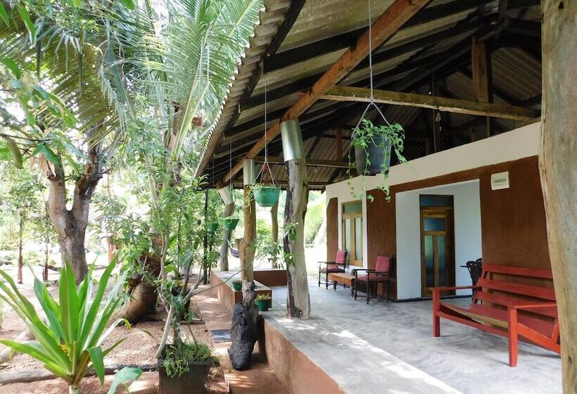 Bed and Breakfast Yala Avian Eye Safari