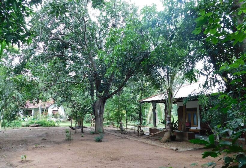 Bed and Breakfast Yala Avian Eye Safari