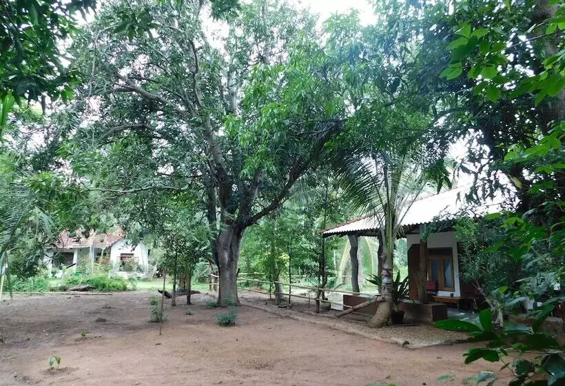 ベッドアンドブレックファースト Yala Avian Eye Safari