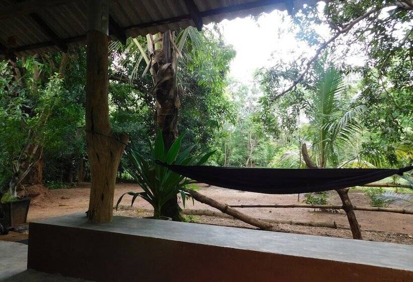 Bed and Breakfast Yala Avian Eye Safari