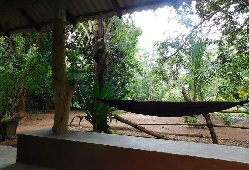 ベッドアンドブレックファースト Yala Avian Eye Safari