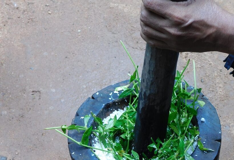 Bed and Breakfast Yala Avian Eye Safari