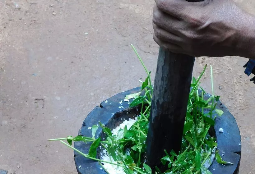 ベッドアンドブレックファースト Yala Avian Eye Safari