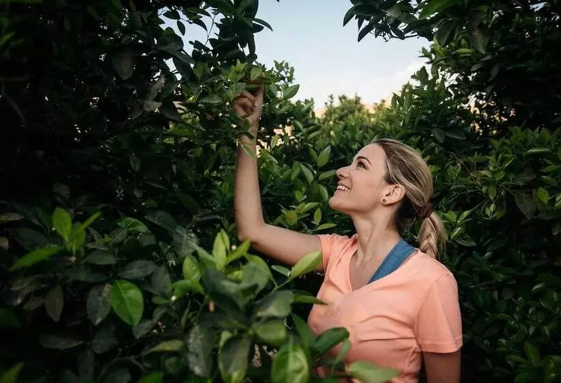 Empedrada Ranch & Lodge   Hotel Asociado Casa Andina