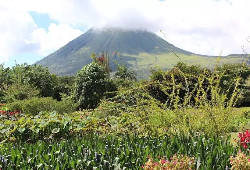 ホテル Gangga Island Resort & Spa