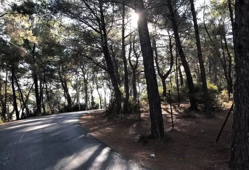 Hermes Hotel özdere