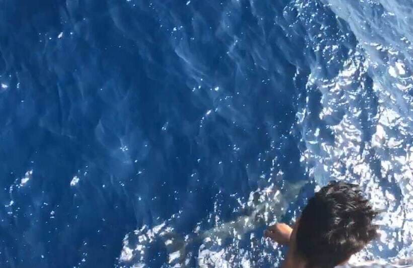 Hermes Hotel özdere