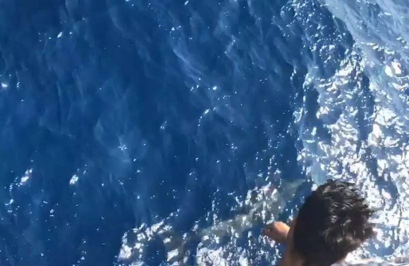 Hermes Hotel özdere