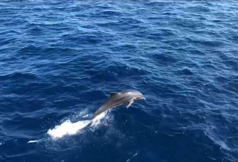 Hermes Hotel özdere