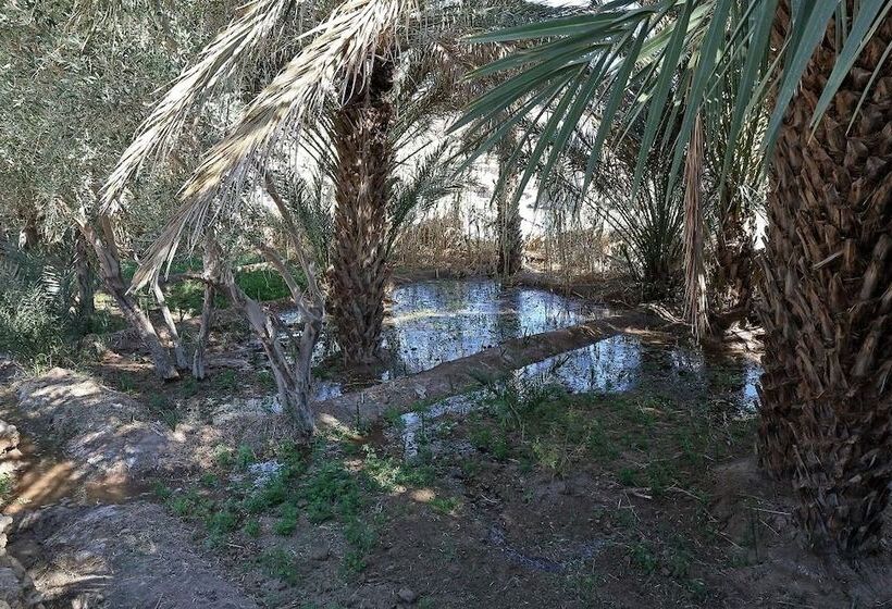 Отель Kasbah Tissint